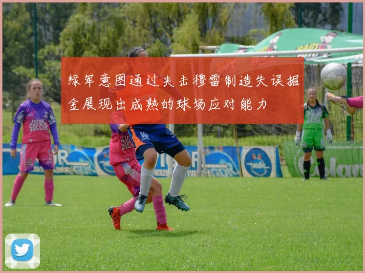 绿军意图通过夹击穆雷制造失误掘金展现出成熟的球场应对能力