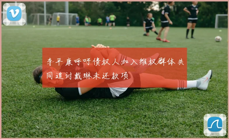 李平康呼吁债权人加入维权群体共同追讨戴琳未还款项